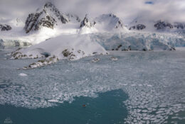 Spitsbergen_2025 (13/78)